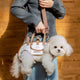 Pet Travel Companion Backpack